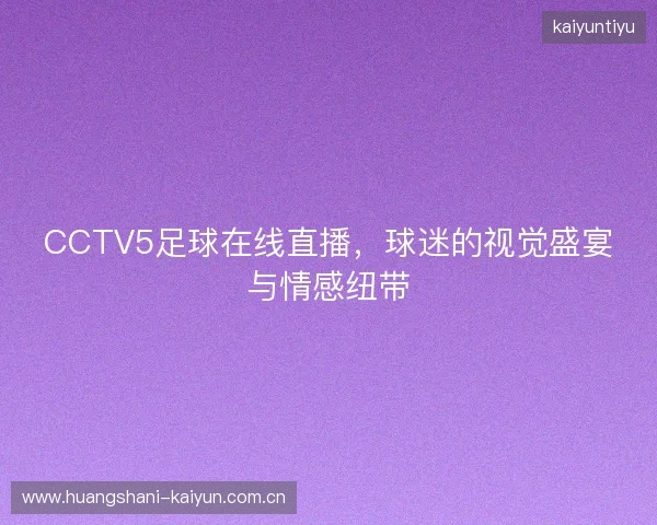 CCTV5足球在线直播，球迷的视觉盛宴与情感纽带